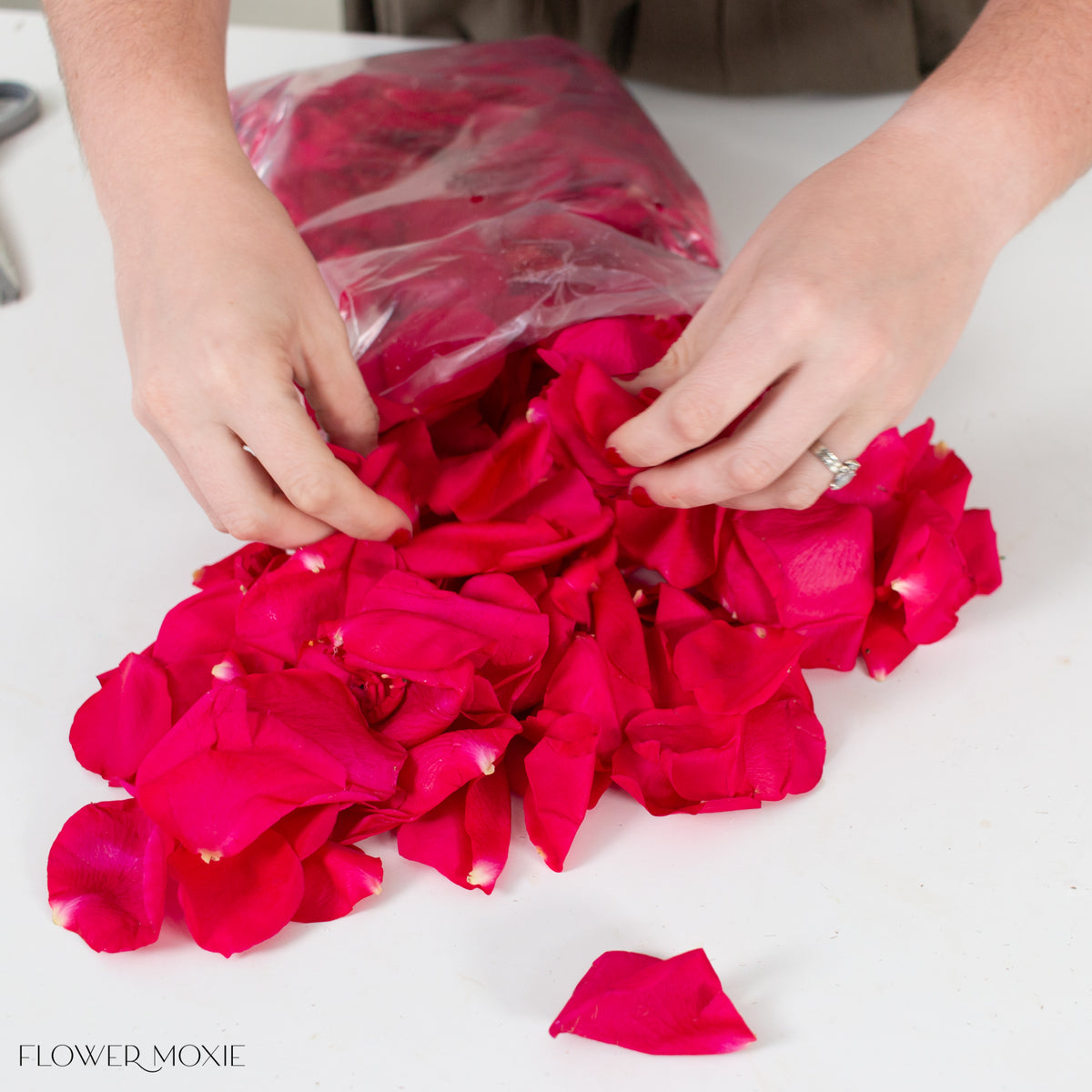 Rose Petals | DIY Wedding Flowers | Flower Moxie