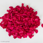 Deep Pink Rose Petals