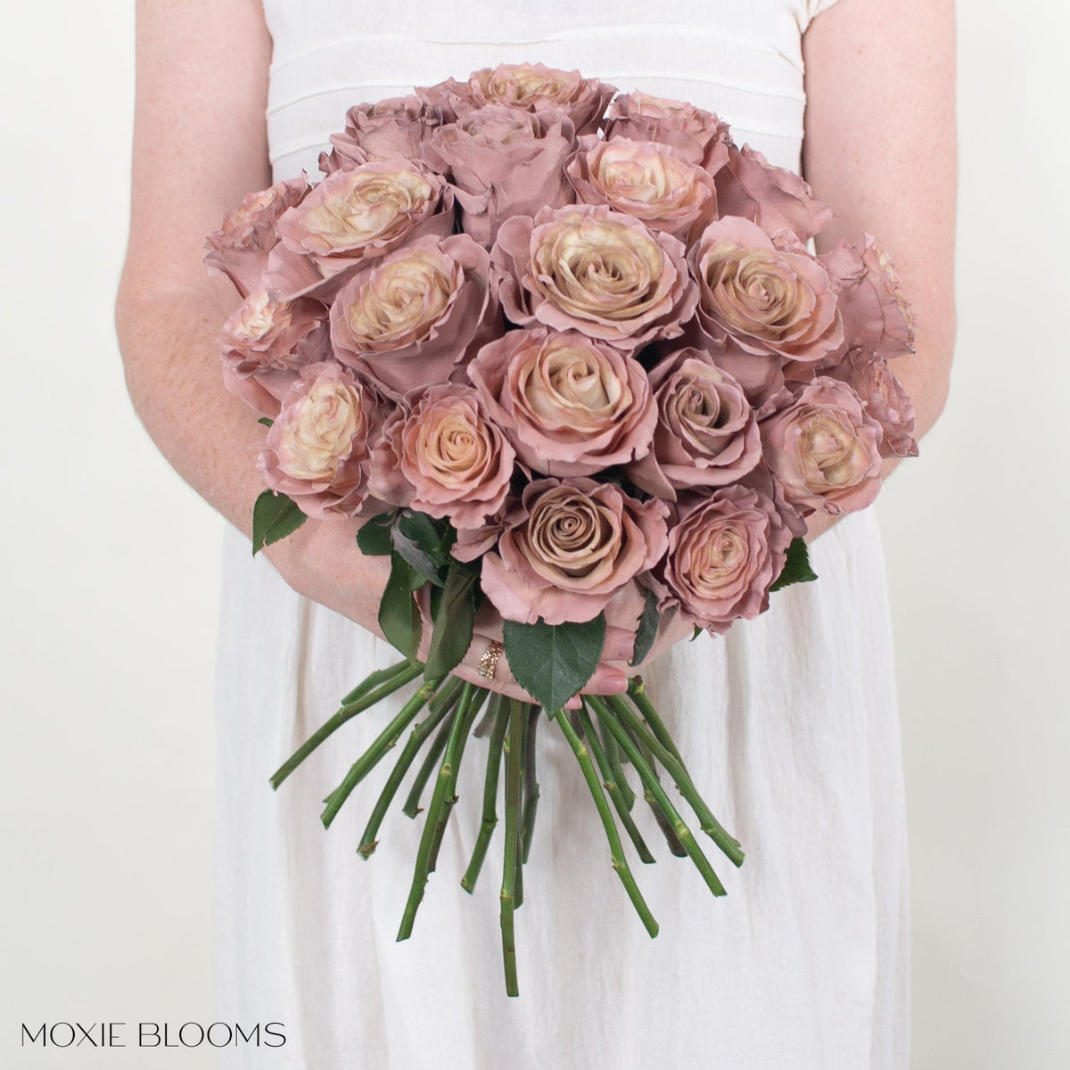 Sand Color Roses Novelty Roses | Flower Moxie | Roses for DIY Wedding