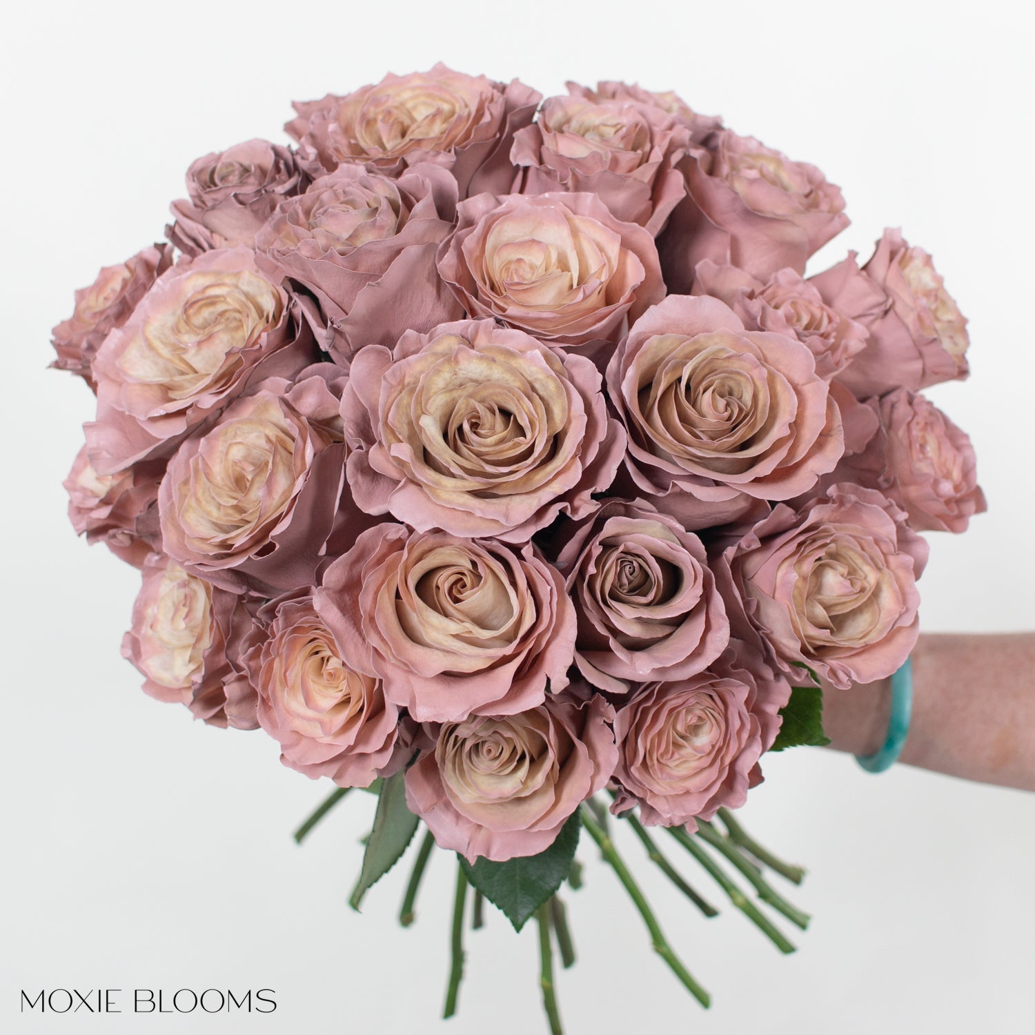 Novelty Roses | Flower Moxie | Roses for DIY Wedding