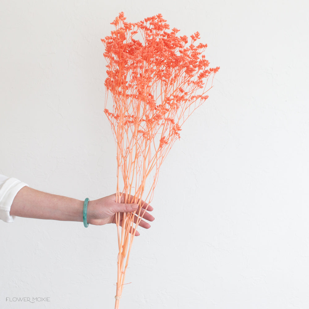 Dried Coral Limonium Flower