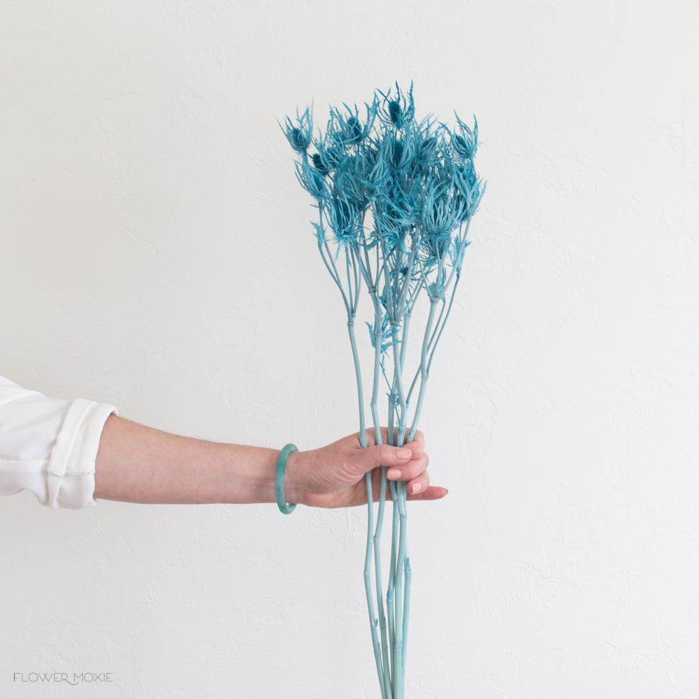 Dried Blue Thistle Flower