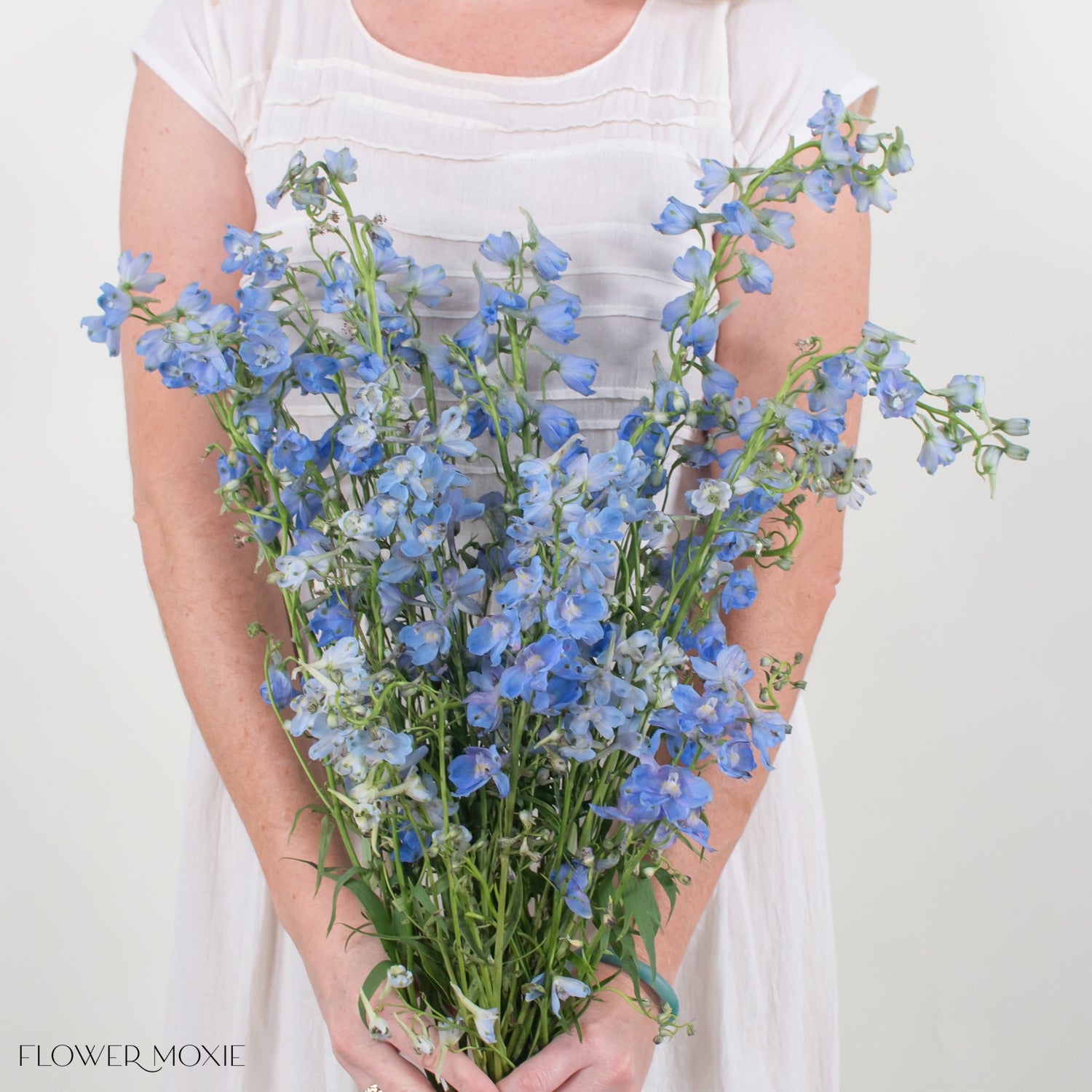 delphinium mixed box, wholesale flowers, wedding blue flowers