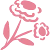 fmd icon backup