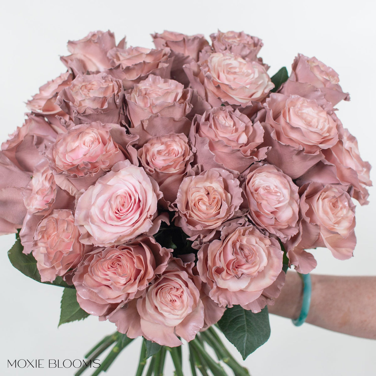 Novelty Roses – Flower Moxie