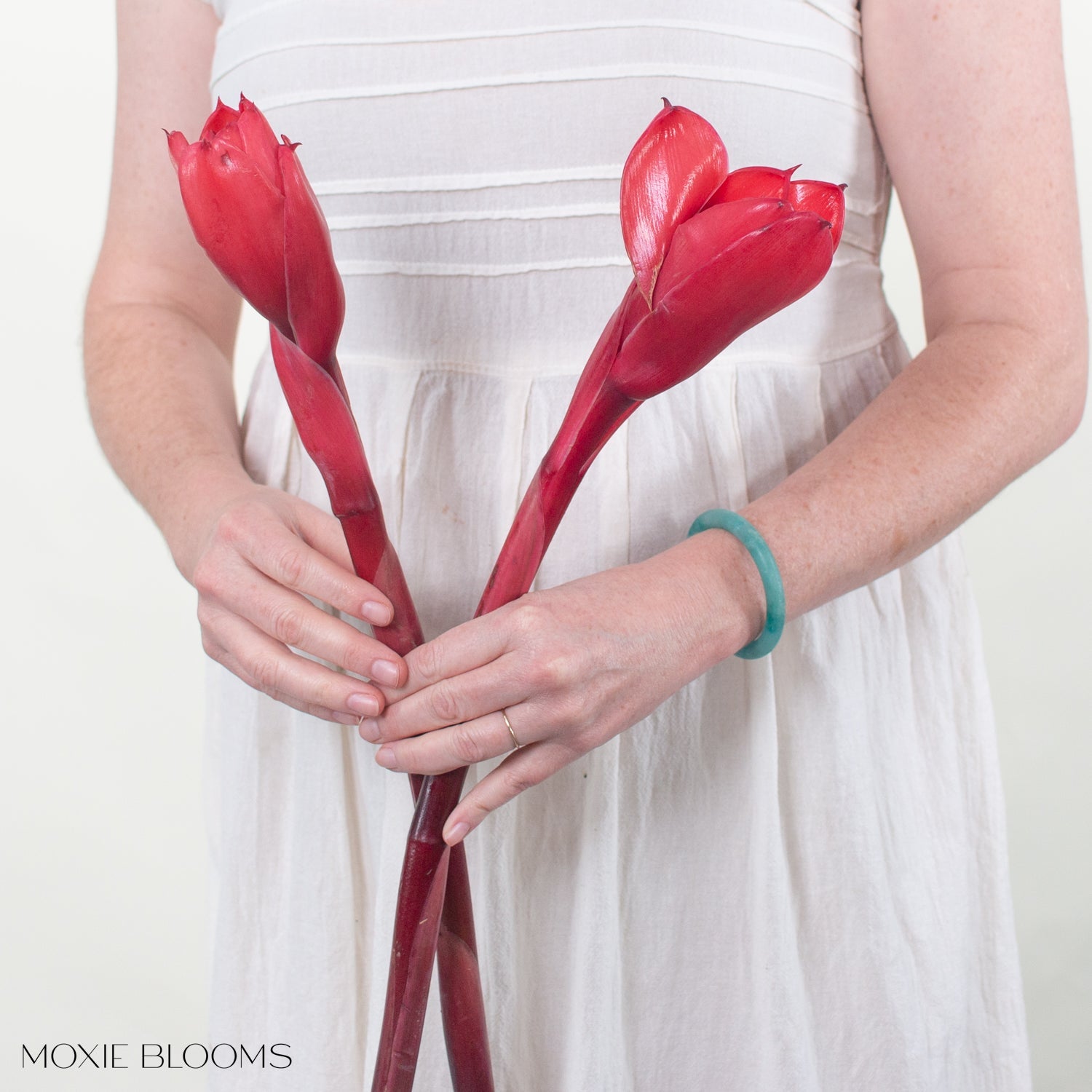 Buy Red Ginger Torch - Flower Moxie | DIY Flowers Free Shipping