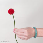 Tinted Grenadine Billy Ball Flower
