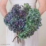 Hulk Antique Hydrangea Flower