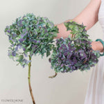 Hulk Antique Hydrangea Flower
