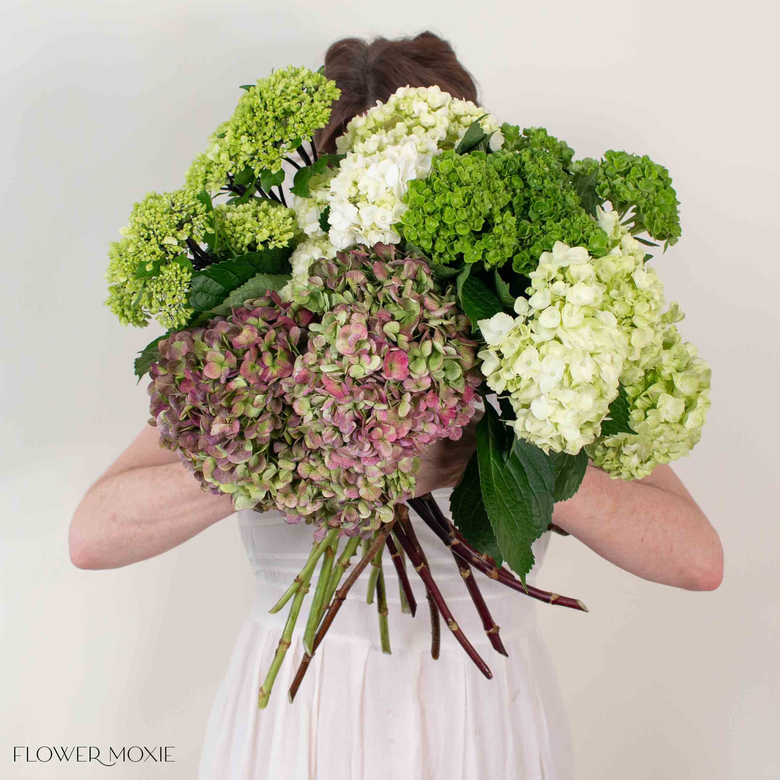 Green Blend and Burgundy Hydrangea Mixed Box