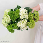 Green Blend Hydrangea Mixed Box