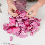 Lavender Rose Petals for Weddings