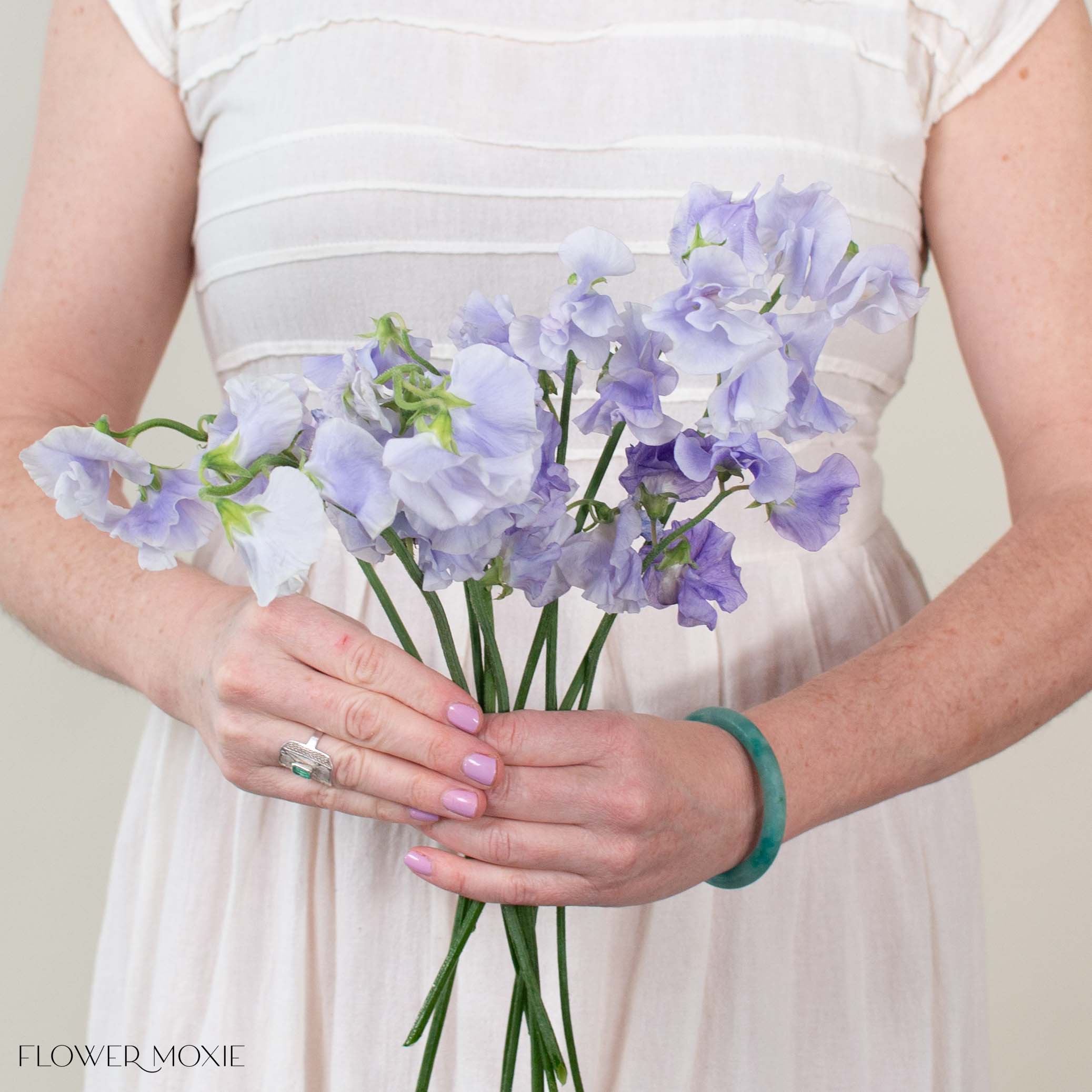 Lavender Sweet Pea Flower