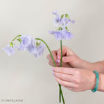 Lavender Sweet Pea Flower