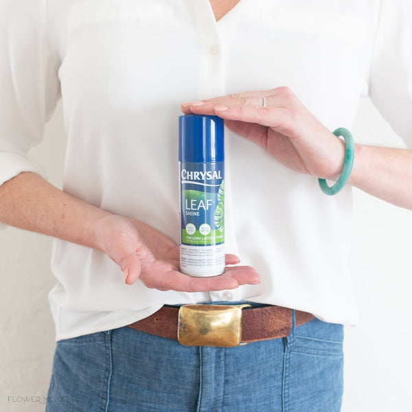Chrysal Leafshine Blattglanz-Spray – 3 Oz (ca. 85 Ml) | Für Pflanzen, Blumen & Blätter, Einfach Anzuwenden