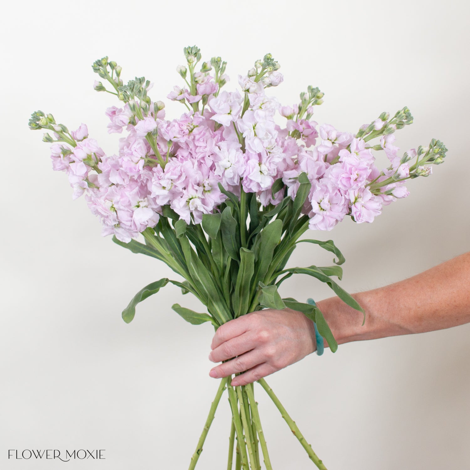 Light Pink Stock Flower | Bulk DIY Weddings | Flower Moxie