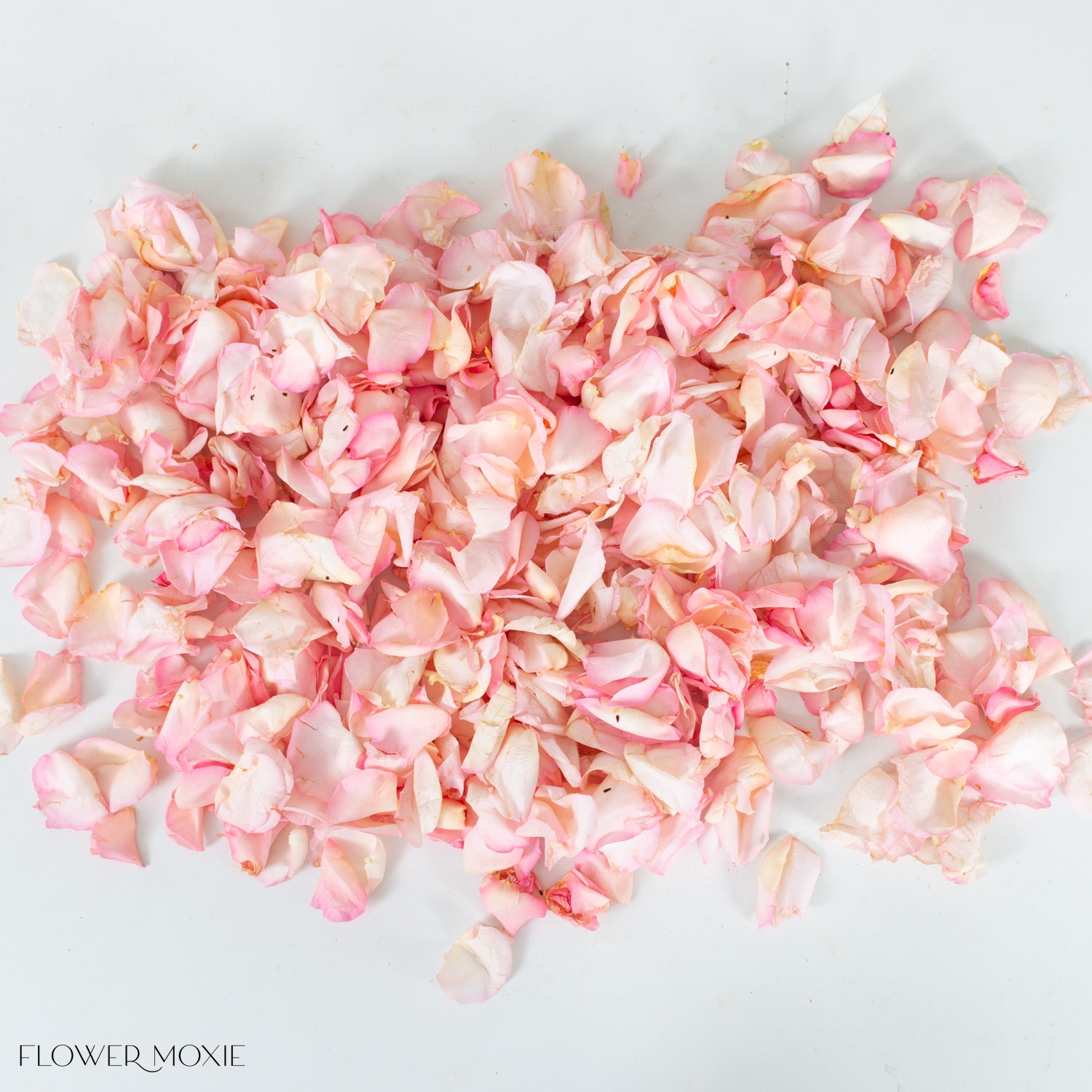 Wedding Light Pink Rose Petals