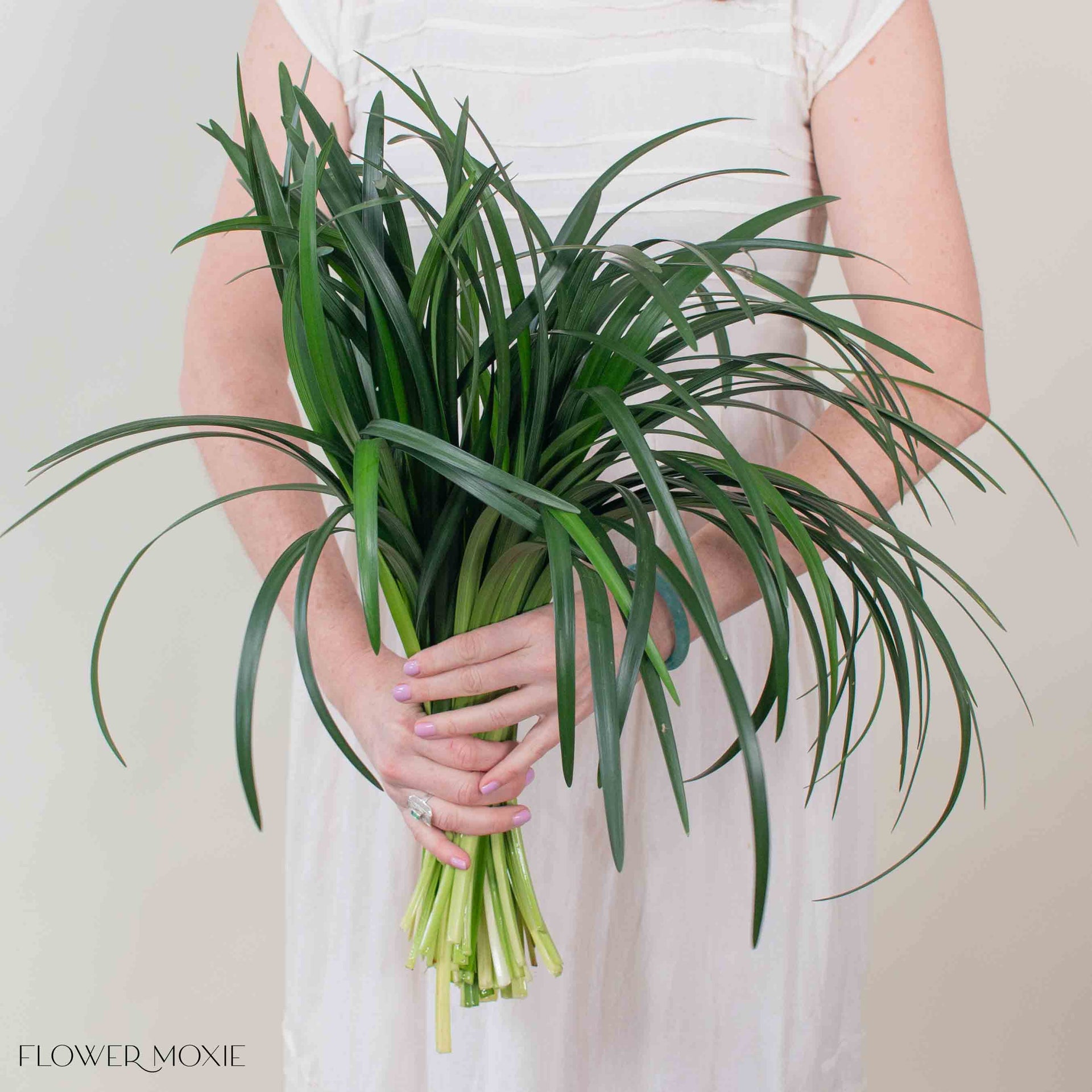 lily grass flower Lily Grass Greenery | DIY Wedding Flowers | Flower Moxie 5 bunches