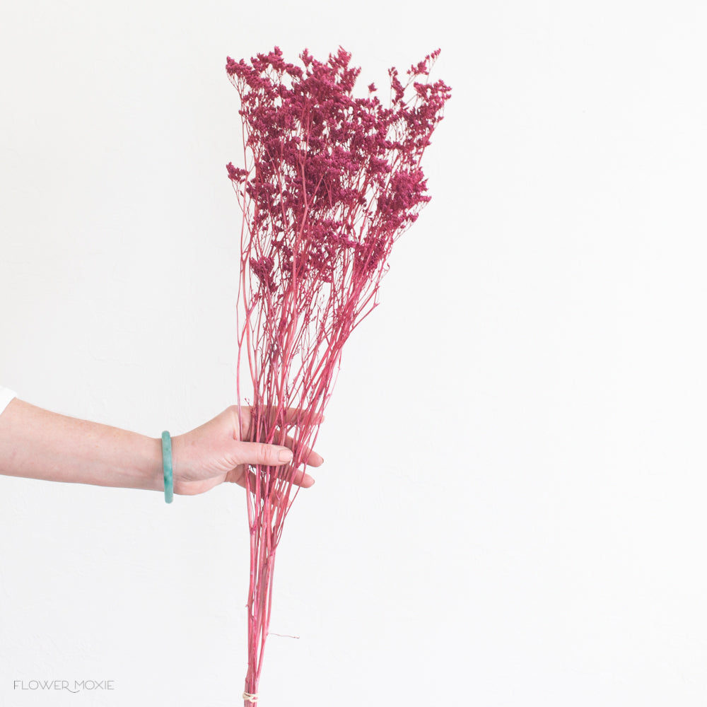 Dried Berry Limonium Flower