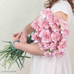Mariposa Carnation