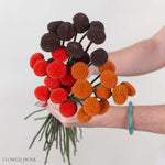 Spice Billy Ball Mixed Box
