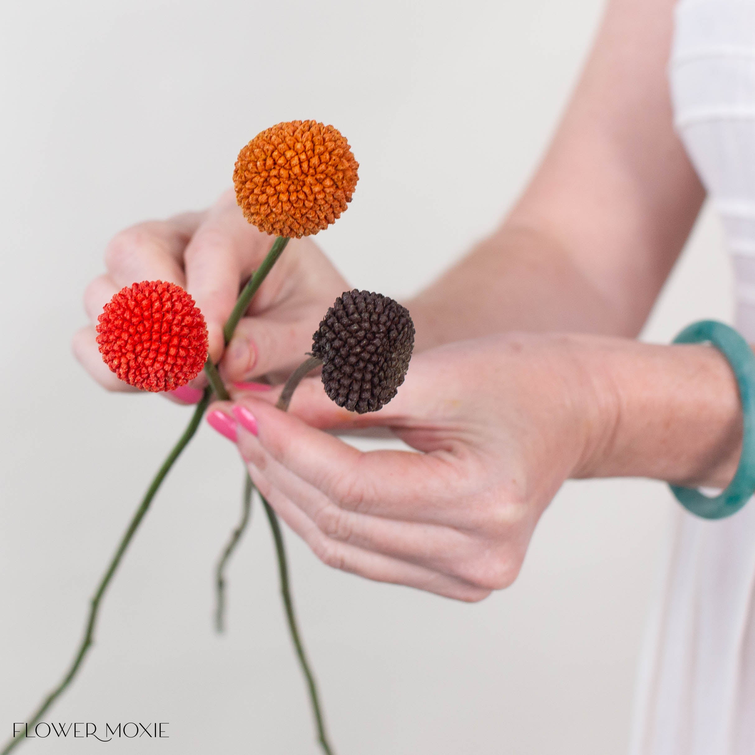 Spice Billy Ball Mixed Box
