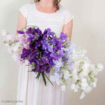 All colors Sweet Pea Mixed Box 