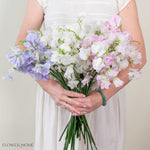 Pastels Sweet Pea Mixed Box 
