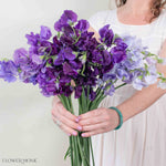 Purple Sweet Pea Mixed Box 