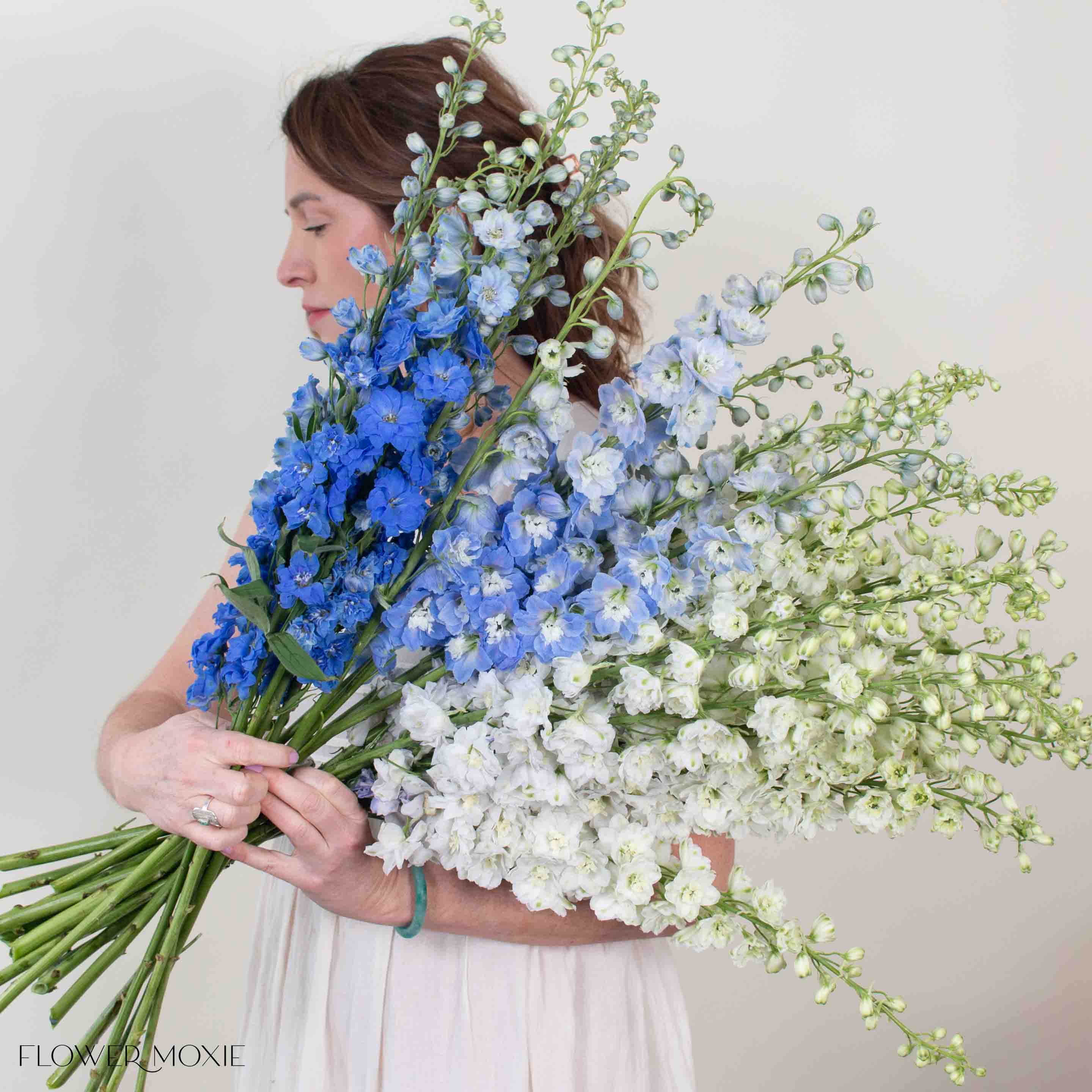 White and Blue Hybrid Delphinium Mixed Box