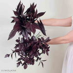 Tinted Burgundy Greenery Mixed Box