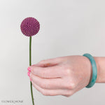Tinted Mulberry Billy Ball Flower
