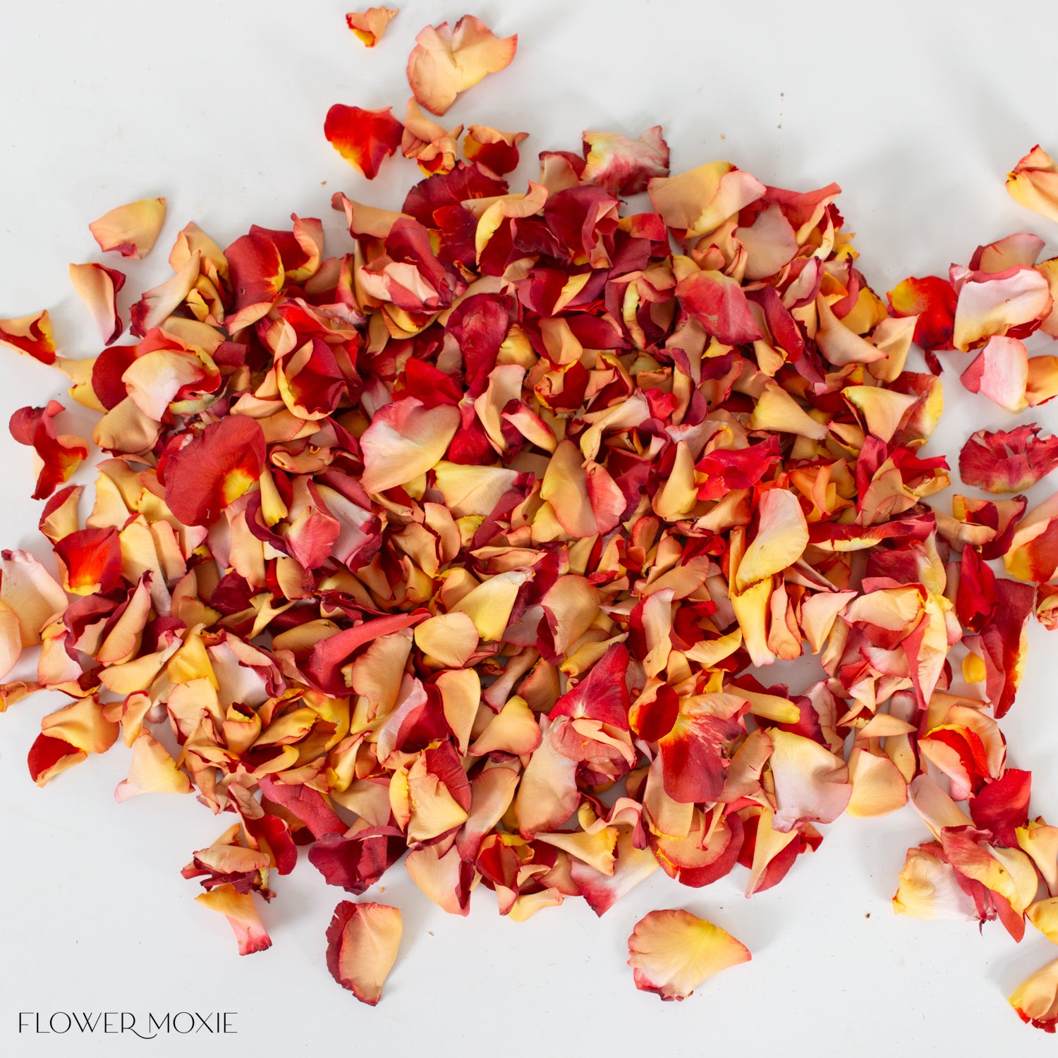 Fall Wedding Bulk Rose Petals