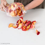 Fall Wedding Bulk Rose Petals