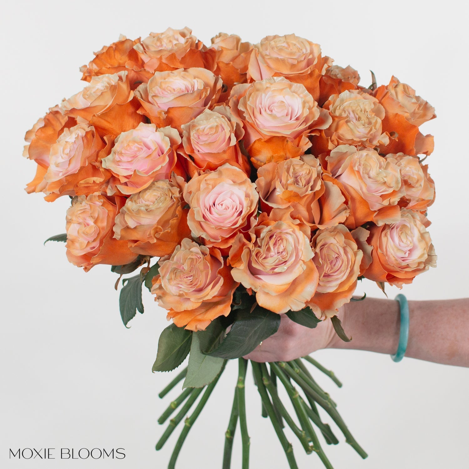 Painted and Dyed Creamsicle Novelty Rose