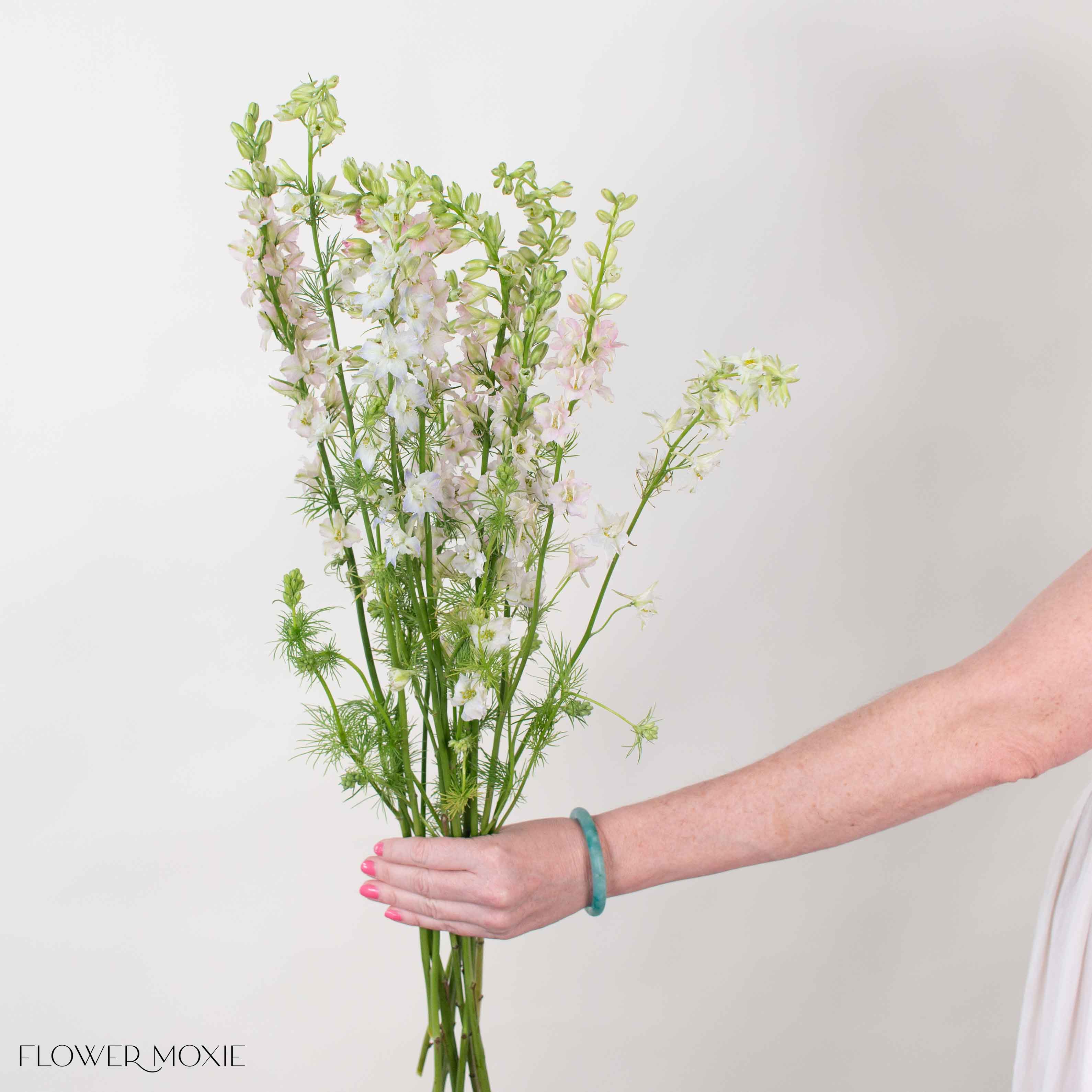 Light Pink Larskpur Flower
