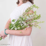 Light Pink Larskpur Flower
