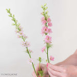 Light Pink Larskpur Flower
