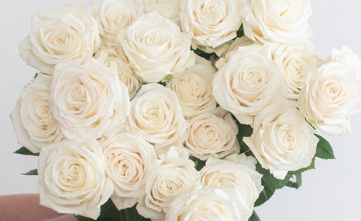 Playa Blanca Roses | Fresh DIY Wedding Flowers | Flower Moxie