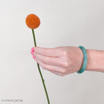 Tinted Pumpkin Billy Ball Flower
