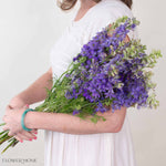 Purple Larskpur Flower