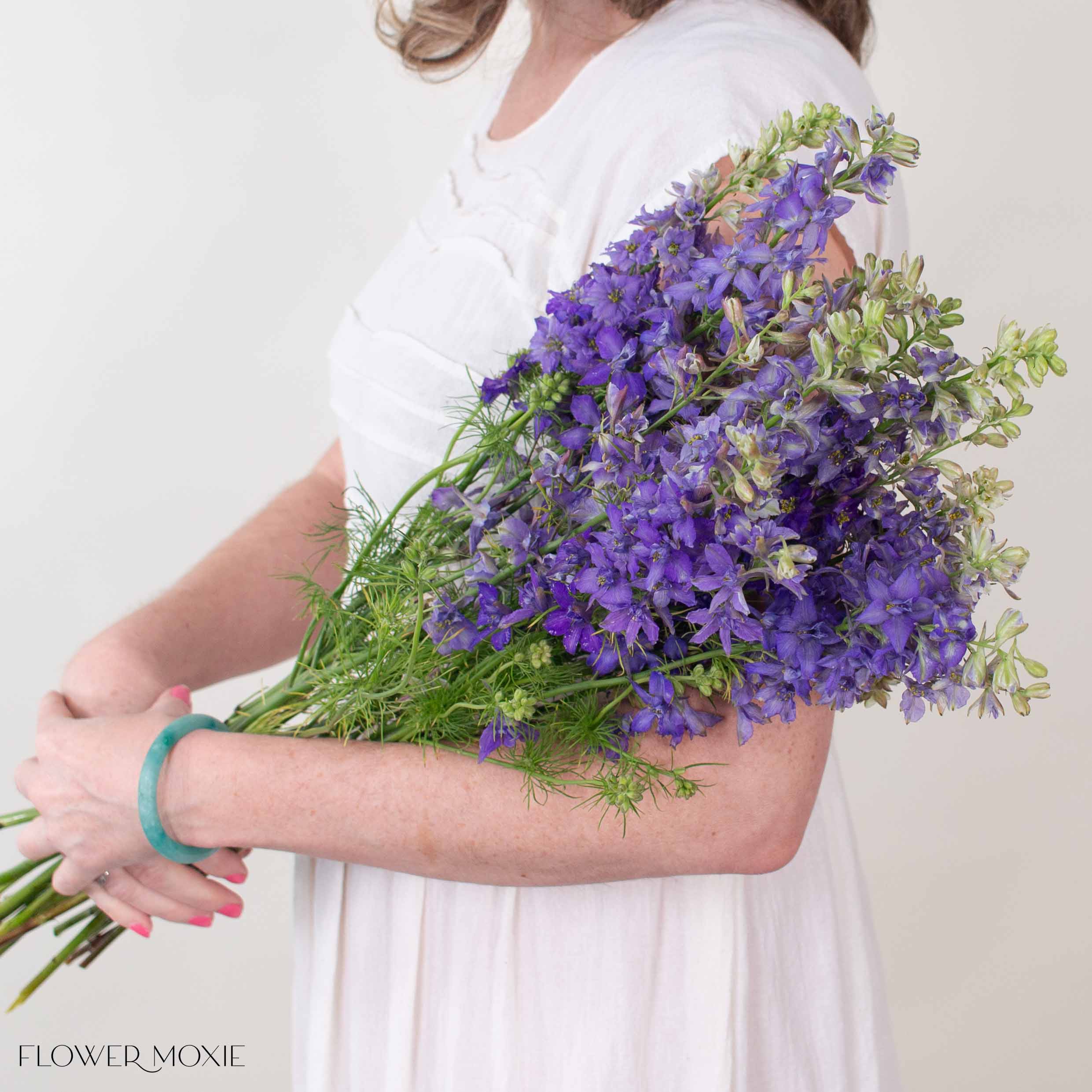 Purple Larskpur Flower