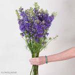 Purple Larskpur Flower