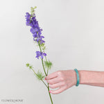 Purple Larskpur Flower