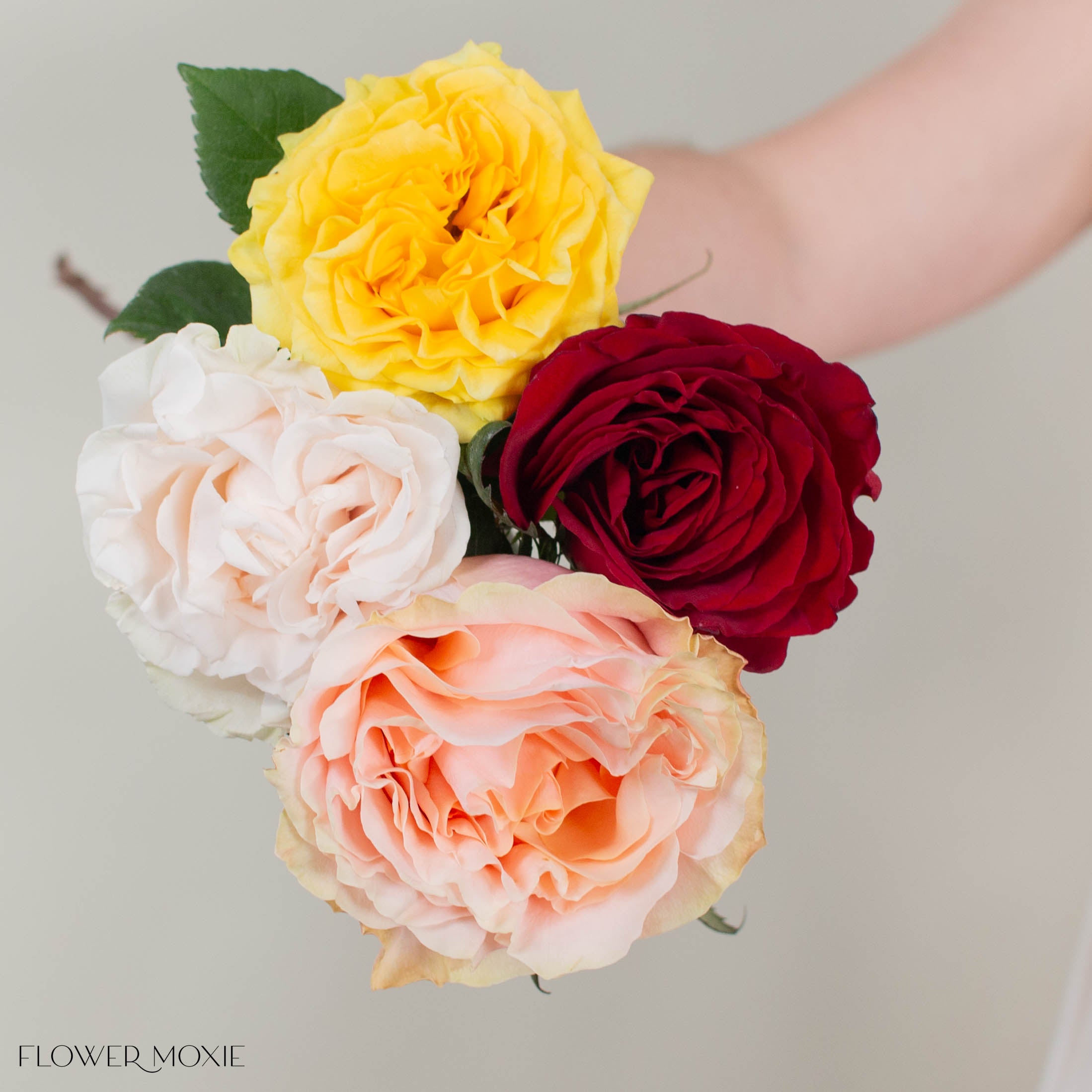 Rainbow Garden Mix Rose Bouquet