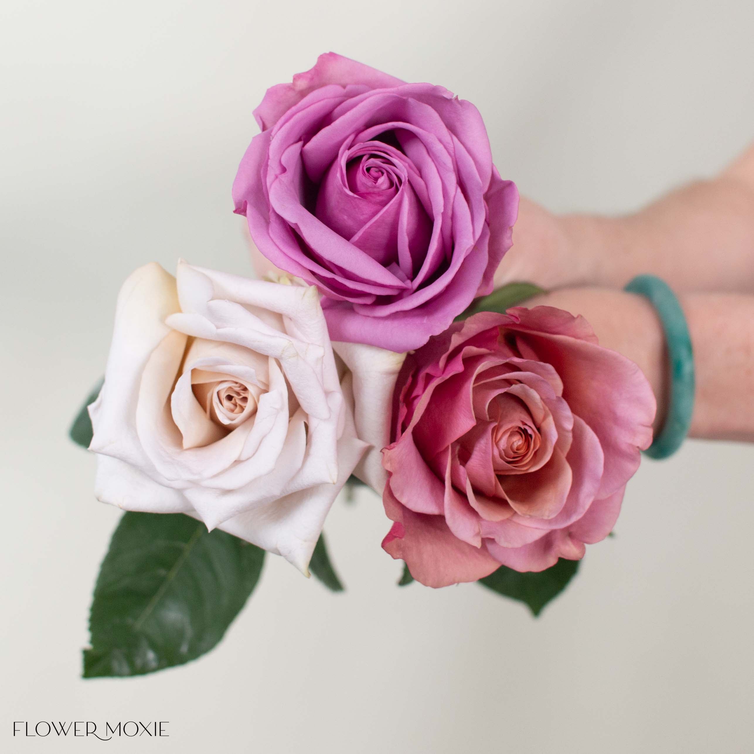 Rainbow Lavanda Rose Bouquet