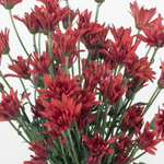 Red Cushion Pom Flower