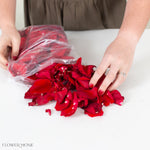 bulk red rose petals