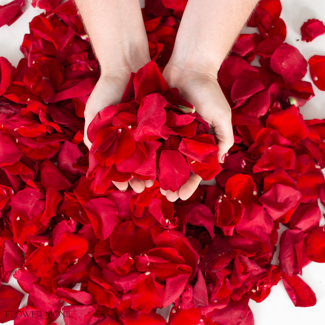 Red Rose Petals | Fresh DIY Wedding Flowers | Flower Moxie, image size:1080x1080