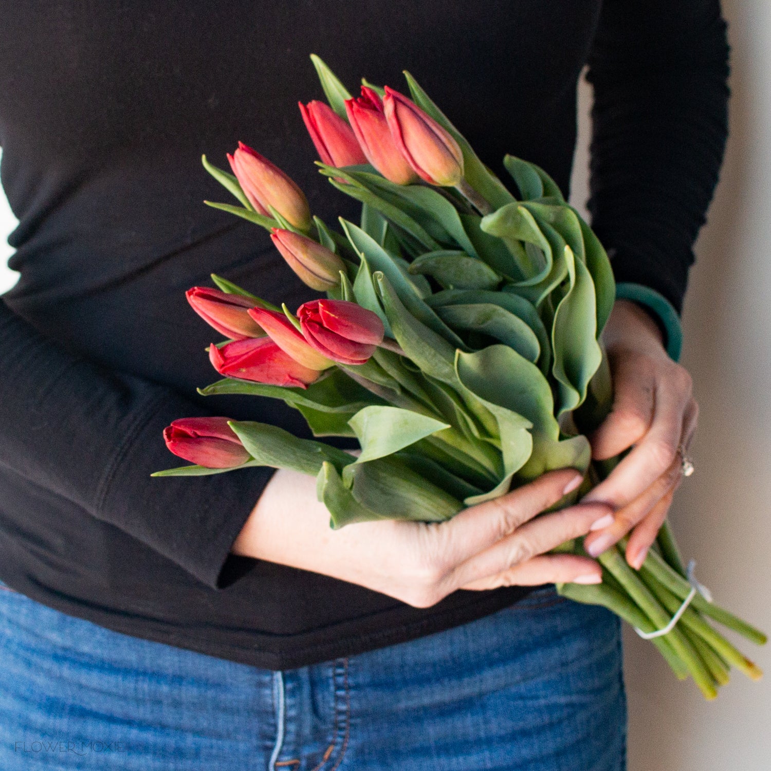 Red Tulip Flower